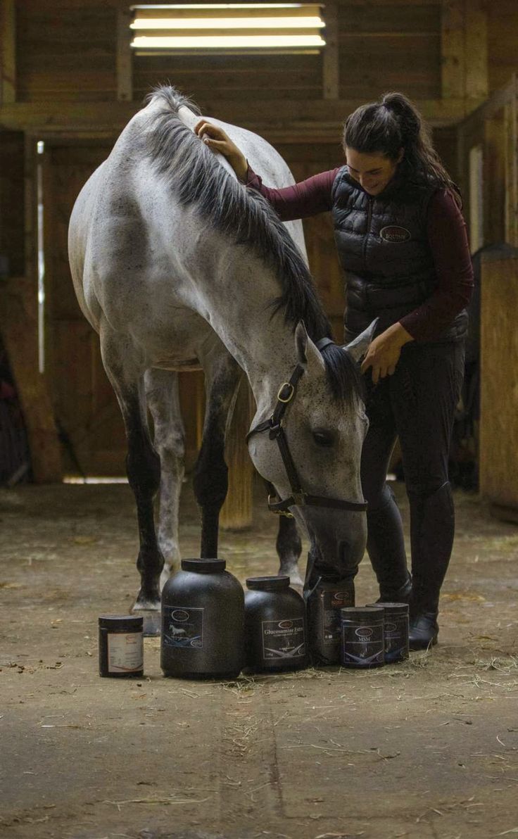 Horse Supplements